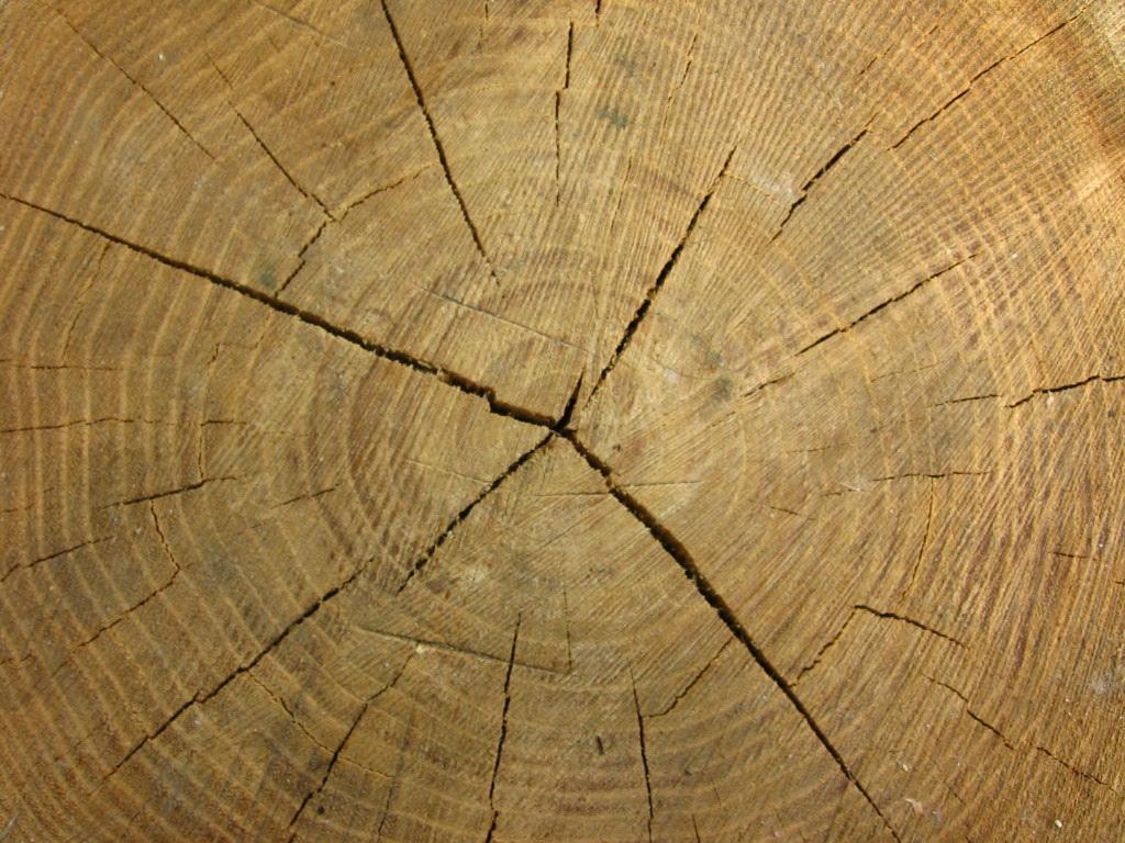 Z jakiego drewna wybrać meble dla siebie?